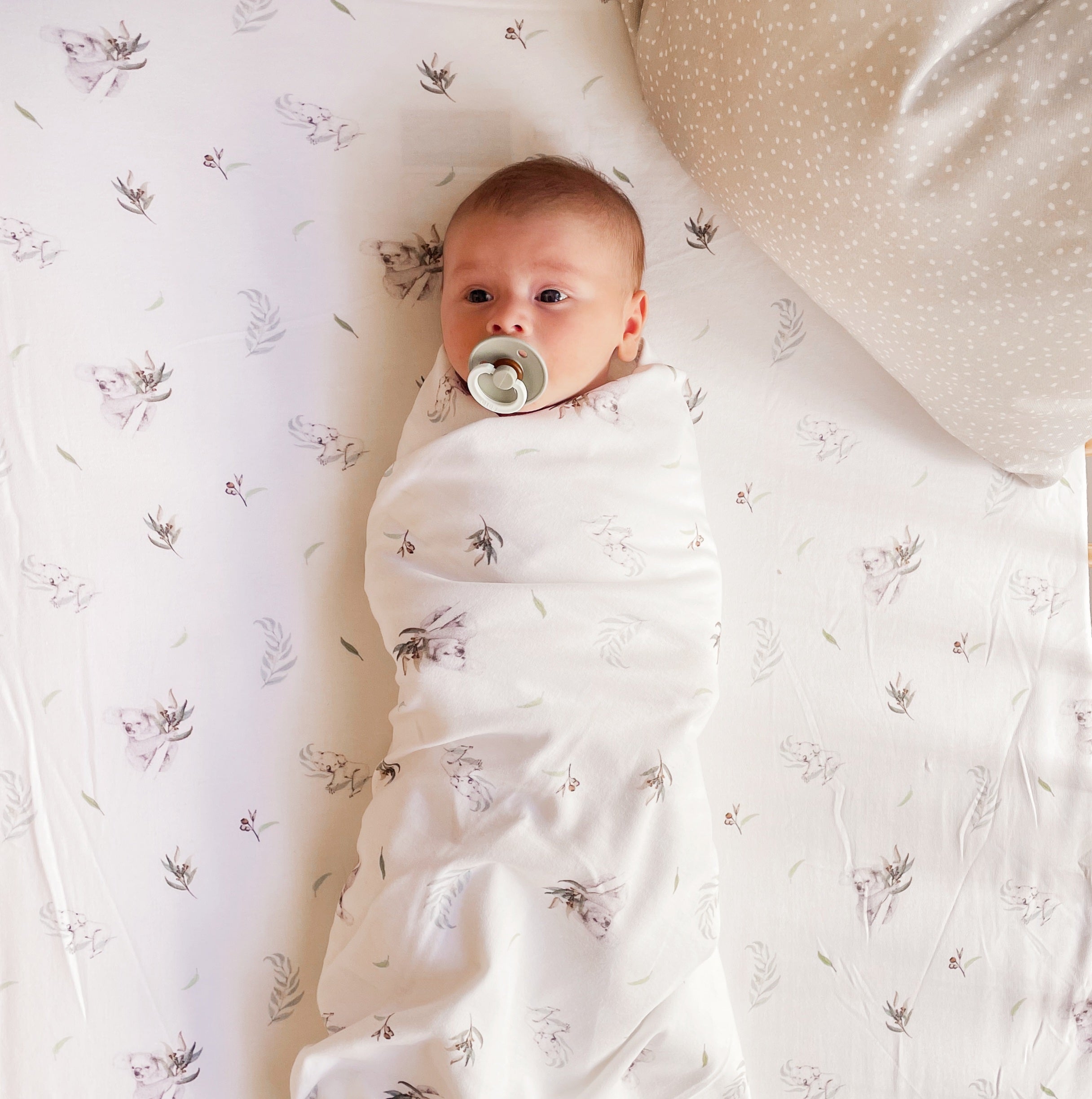 Koala Australiana - Swaddle Blanket